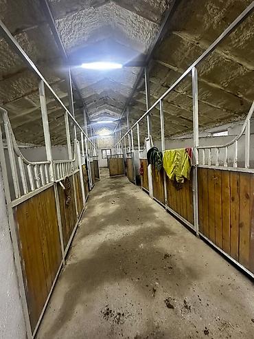 пол дом продаю: Конюшня/хозяйственный двор с помещениями и заездами участок 10 сотка — 7