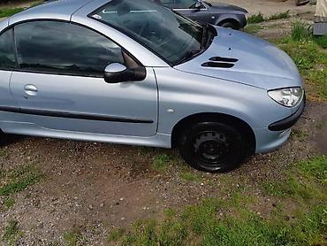 tabla u autu: VRATA ZA PEUGEOT 206 | Vrata za peugeot 206 u vise boja.Imam svee — 6