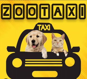 машина в аренду для работы в такси: As someone who’s had a 11-yo beagle and two labradors, I know what