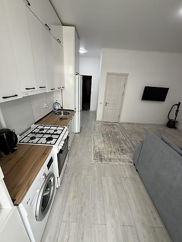 Долгосрочная аренда квартир: 1 комната, Собственник, С мебелью полностью — 4