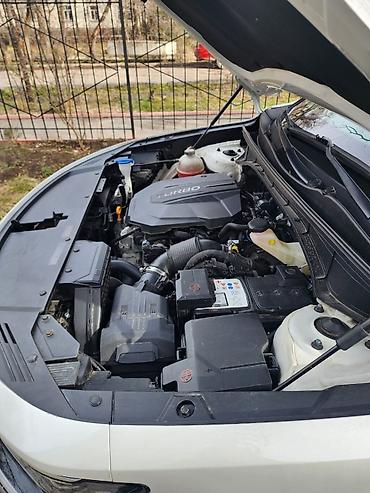 Kia: Kia Sorento: 2021 г. at lalafo.kg — 5 Kia: Kia Sorento: 2021 г. — 5