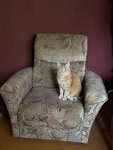 chair kant: Комплект мягкой мебели, Б/у, Самовывоз, цвет - Зеленый — 1