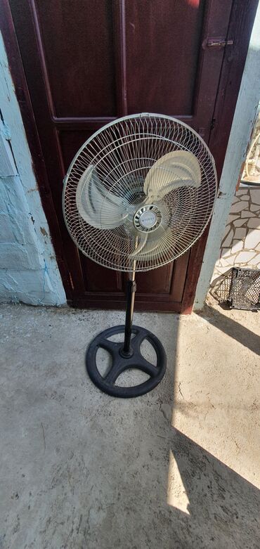 Paltaryuyan maşınlar: Metal torlu qoruyucuya malik, döşəmə üstü ventilyator. Cihaz