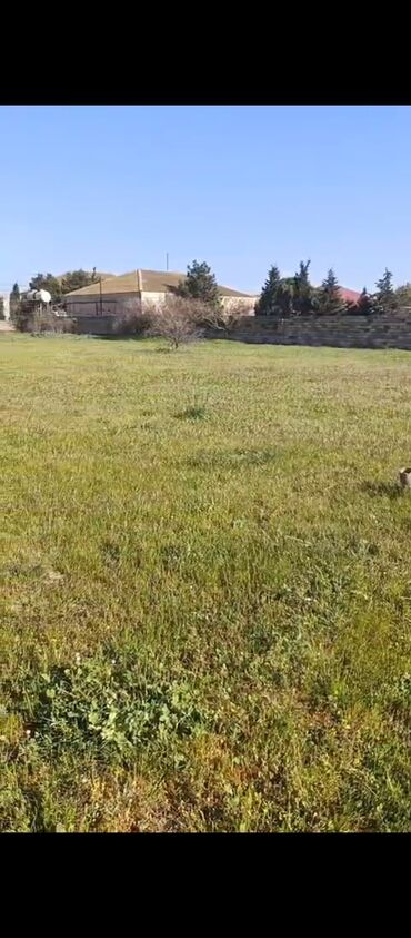 Torpaq sahələrinin satışı: 28 sot, Mülkiyyətçi, Bələdiyyə