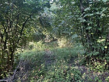 Kirayə torpaq sahələri: Kənd təsərrüfatı -da lalafo.az — 20 Kirayə torpaq sahələri: Kənd təsərrüfatı — 20