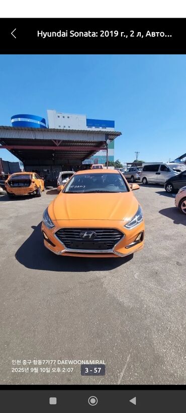 максат такси талас номер телефона: Hyundai Sonata, 2019 год выпуска. арендага берилет депозит. ремонт