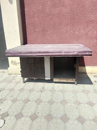 it yuvasi satilir: Möhkem taxdadan yıgılmış yuva heyvanlar üçün rengli laknan renglenib — 1