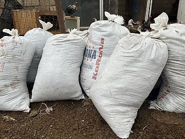 caxmaq daşı: Quru mal peyinidi təmiz peyindi daş qayası yoxdu meşoğu 2 manat — 1