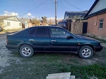 e53 amg: Nissan Primera: 1996 г., 1.6 л — 6