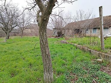 sabunçu rayonu: 30 sot, Tikinti, Mülkiyyətçi, Kupça (Çıxarış) — 5