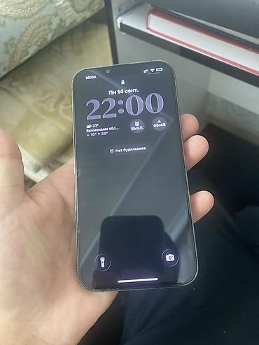 matrexx 40: IPhone 13 Pro, Б/у, 128 ГБ, Графит, Чехол, 67 % — 4