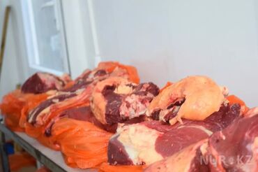 мясо с доставкой бишкек: Говядина : 10 кг