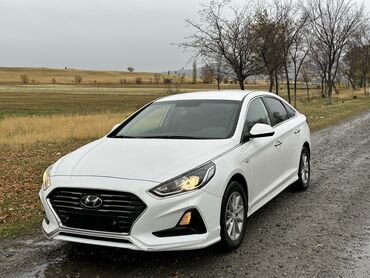 sto non stop: Hyundai Sonata: 2017 г., 2 л, Автомат, Газ, Седан