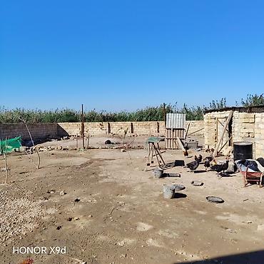 hovsanda evler: 4 комнаты, 100 м², Нет кредита, Свежий ремонт — 3