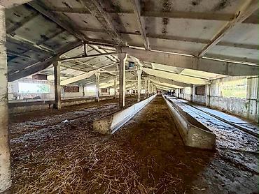 хоз постройки: 📍 с. Кызыл-Туу 🔘1700м² ПРОДАЁТСЯ КОШАРА В КЫЗЫЛ-ТУУ 📍 с. Кызыл-Туу — 4