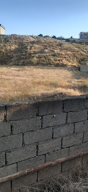 Tikinti
