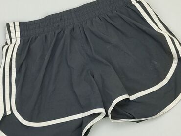 Shorts: Shorts, Adidas, L (EU 40), condition - Good