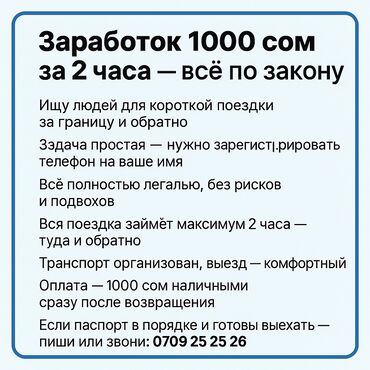 я ищу работу на дом: Заработок Ищу людей для короткой поездки за границу и обратно