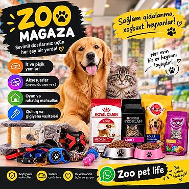 mini toy pudel: Zoo Magaza – sevimli dostlarınız üçün hər şey bir yerdə! Məhsul və — 1