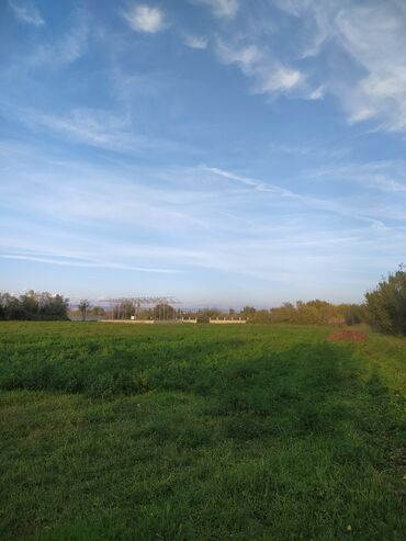 Torpaq sahələrinin satışı: 203 sot, Kənd təsərrüfatı, Makler, Kupça (Çıxarış), Bələdiyyə, Texniki pasport -da lalafo.az — 6 Torpaq sahələrinin satışı: 203 sot, Kənd təsərrüfatı, Makler, Kupça (Çıxarış), Bələdiyyə, Texniki pasport — 6