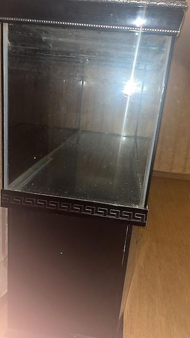 akvarium gəncə: Dördbucaq akvarium, Boş, 700 l, Ünvandan götürmə — 3