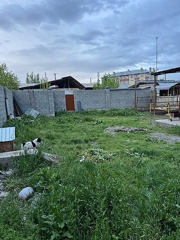 обмен жилья: 6 соток, Красная книга, Тех паспорт, Договор купли-продажи — 4