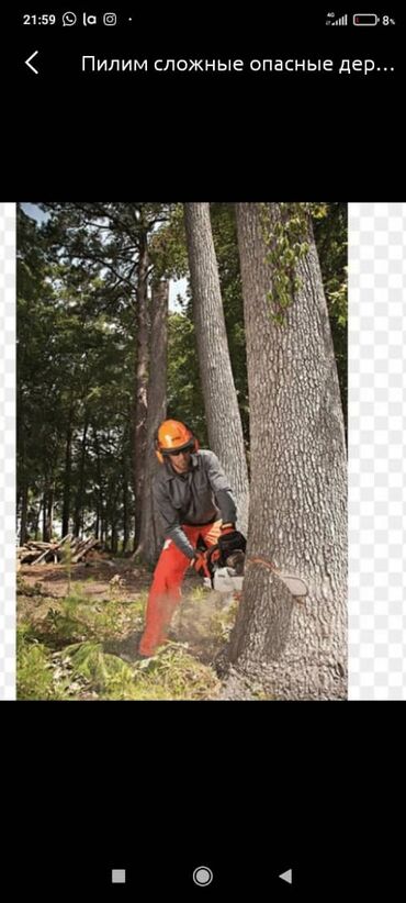 резка дерева: Спил самых сложных опасных деревьев пилим дрова можно с гвоздями колим