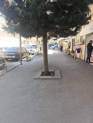 kiraya: Tam şəhərin mərkəzində,28 may metrosuna 2 dəqiqəlik məsafədə — 9