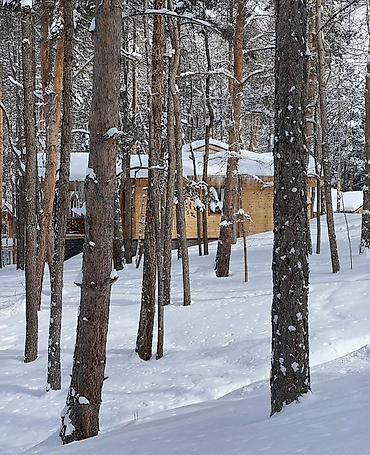 эко комплекс: Продается просторная квартира в ЖК Sky Paradise в самом лучшем — 9