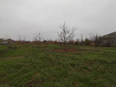 Həyət evləri və villaların satışı: 3 otaqlı, 80 kv. m, Təmirsiz — 6