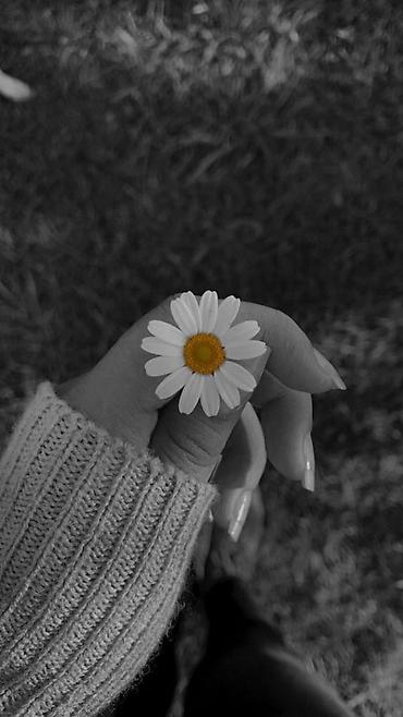 sürücü köməkçisi: Aşpaz köməkçisi, Qadın, 24 yaş — 1