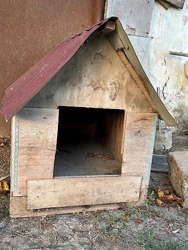 it oyuncaqlari: İt yuvası 1m uzunu eni 30santi falandı — 1