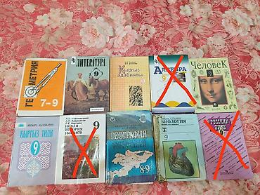 Сборник учебников и художественных книг Школьные учебники: -