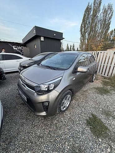 ситроен пикассо: Kia Picanto: 2019 г., 1 л, Автомат, Бензин, Хэтчбэк — 2