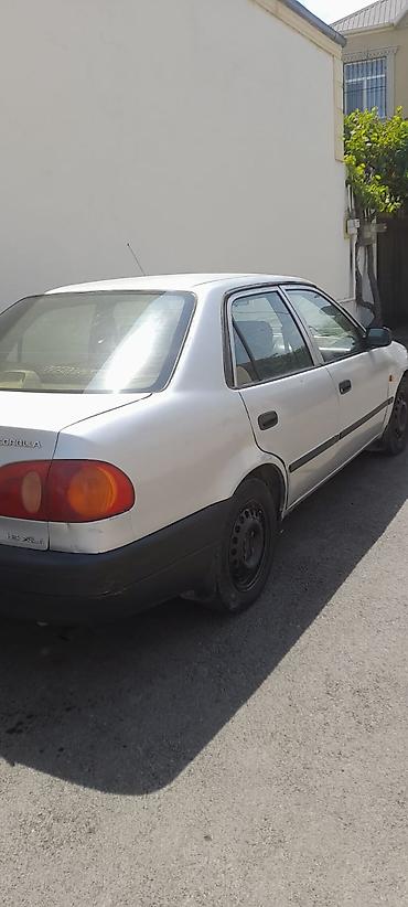 toyota camry oluxana: Toyota Corolla: 1.6 l | 1998 il Sedan — 2
