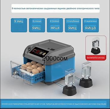 Инкубаторы: Инкубаторы с двойным электроприводом и полностью автоматическим — 19