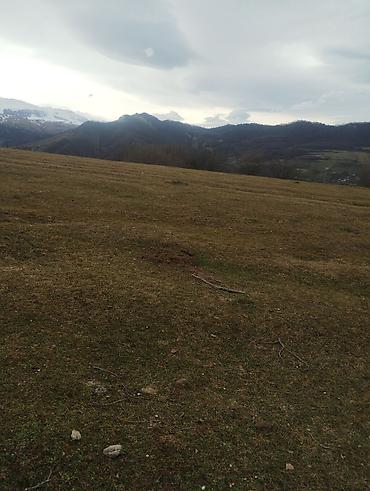 Torpaq sahələrinin satışı: 130 sot, Kənd təsərrüfatı, Kupça (Çıxarış) — 18