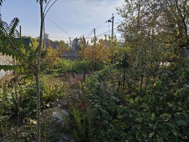 Продажа домов: Дом, 50 м², 4 комнаты, Собственник, Косметический ремонт — 10