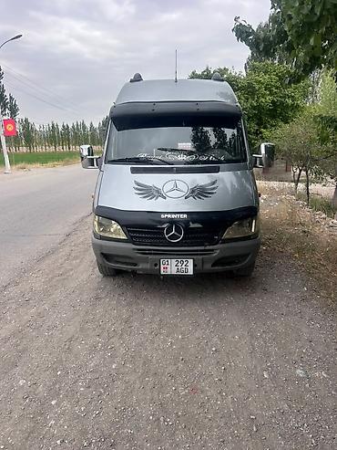 Mercedes-Benz: Mercedes-Benz Спринтер: 2002 г., 2.9 л, Механика, Дизель — 2