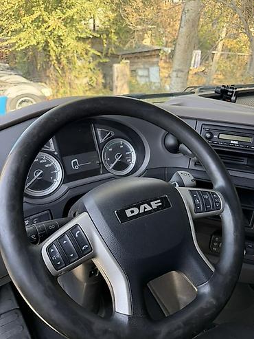 хово 2026: Тягач, DAF, Шторный — 5