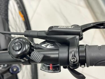 Городские велосипеды: Городской велосипед, Рама L (172 - 185 см), Новый — 11