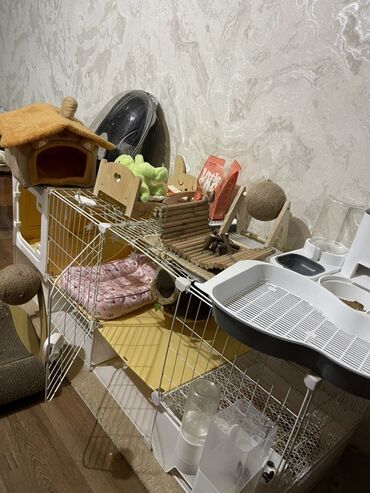 скрещивание разных животных: Домик для животных,(кролик; кошек и т.д ) Есть все необходимые вещи