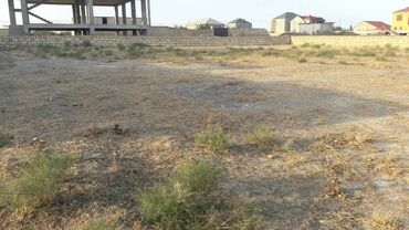 Torpaq sahələrinin satışı: 6 sot, Kənd təsərrüfatı, Mülkiyyətçi, Bələdiyyə — 5