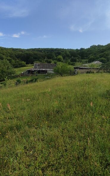 Torpaq sahələrinin satışı: 13 sot, Tikinti, Mülkiyyətçi, Kupça (Çıxarış) — 8