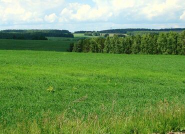 купить поле для посева: 8 соток, Курулуш, Техпаспорт, Кызыл китеп