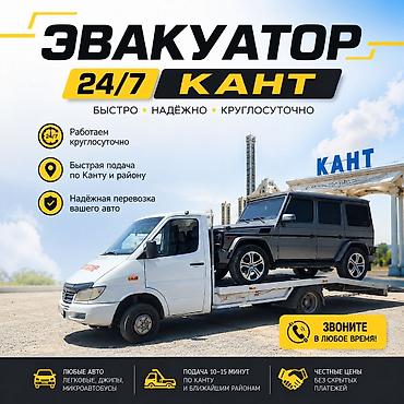скутар макси: С лебедкой, С манипулятором, Со сдвижной платформой — 1