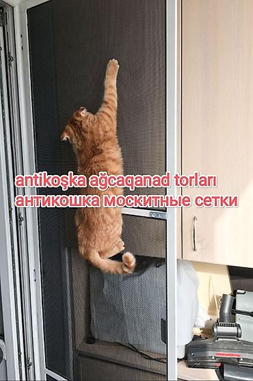 sveca qiyməti: Jaluz-agcaqanad torlari .Plastik pəncərələr və qapılarda ağcaqanad — 7