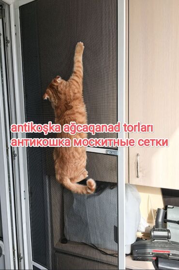 Jalüzlər: Жалюзи- москитные сетки на пластиковые окна с замерами, доставкой и — 6