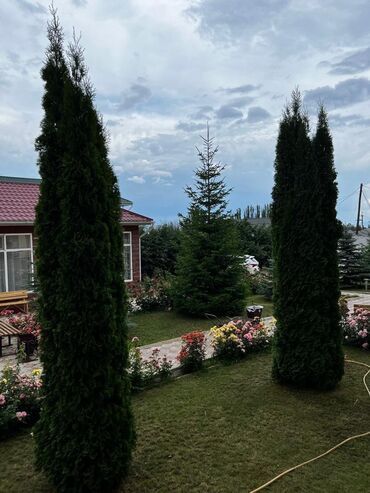 Отели и хостелы: Иссык куль 📍Продается действующий бизнес, минипансионат с мебелью и — 4