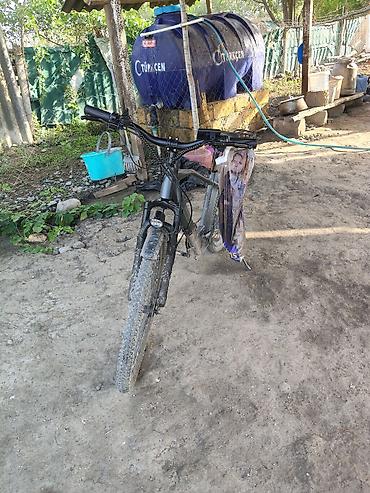 electro moto: Şəhər və kənd yolları üçün elektrik velosipedi - Rəng: qara/grafit - — 4
